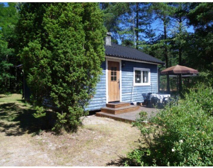 Öland Vacation Rentals & Homes Kalmar County, Sweden Airbnb