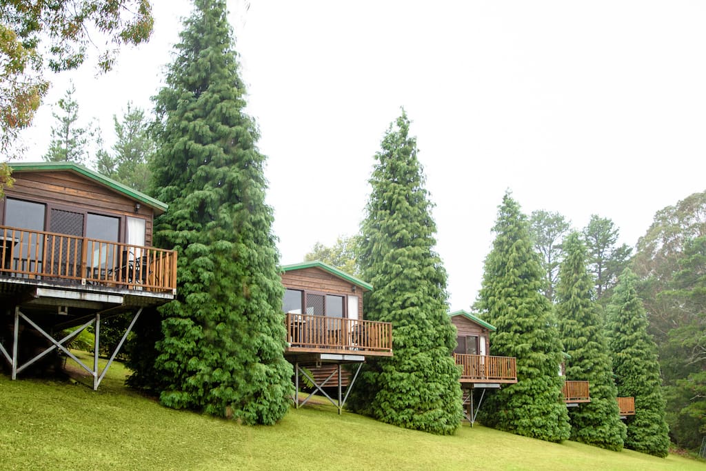 5 private cabins on 43 acres in Bilpin