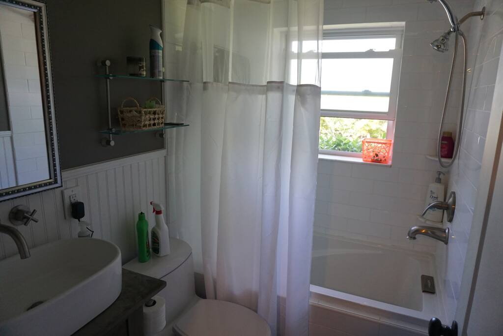 Newly renovated bathroom with ultras deep soak tub