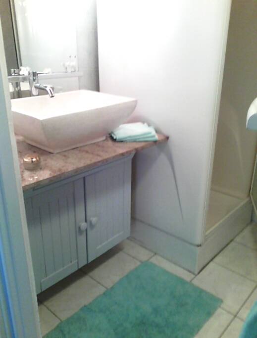 salle d'eau la cabine de douche a été changée elle est neuve, et toute vitrée avec des miroirs