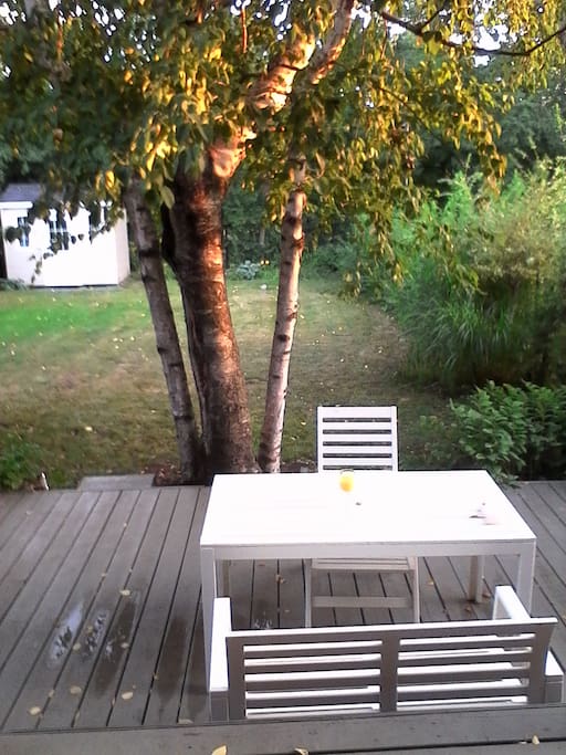 jardin été
