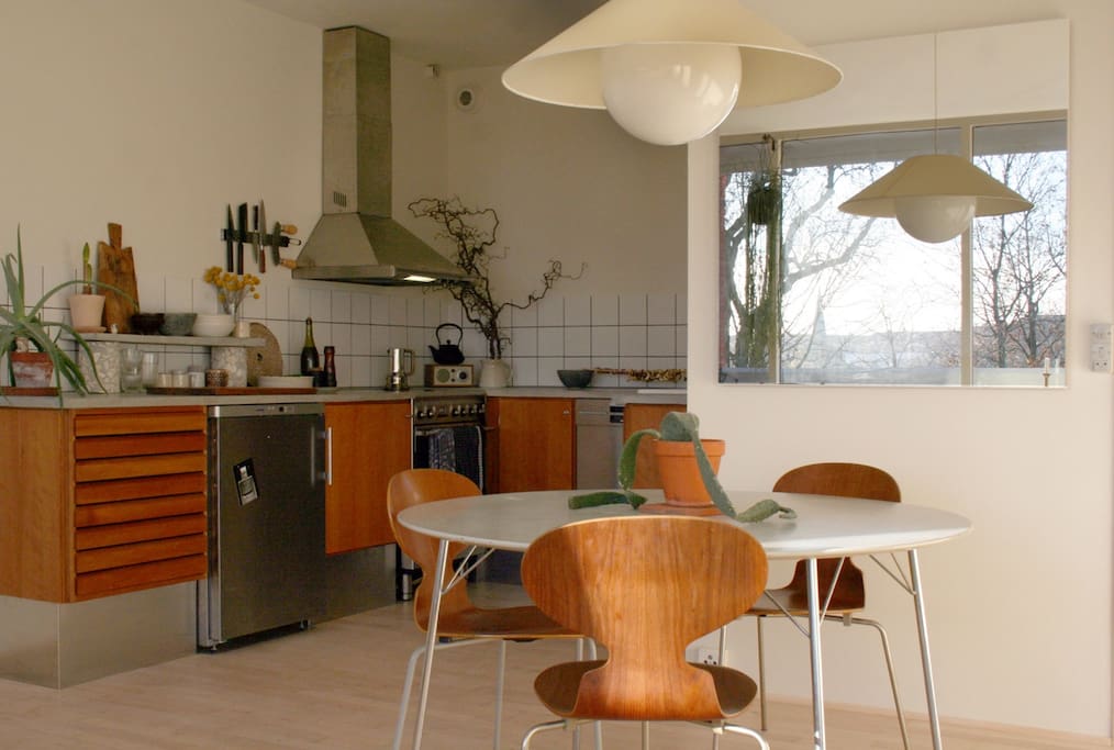 Kitchen with dishwasher, oven, stovetop, sink and fridge. Alessi espresso maker.