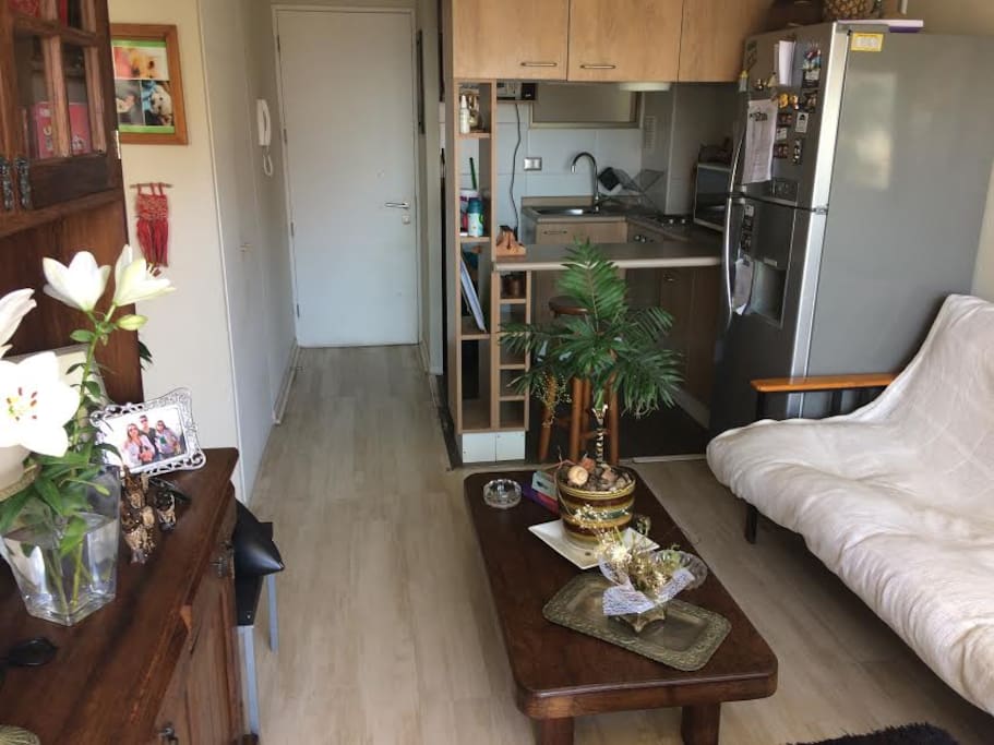 LIVING CON COCINA AMERICANA