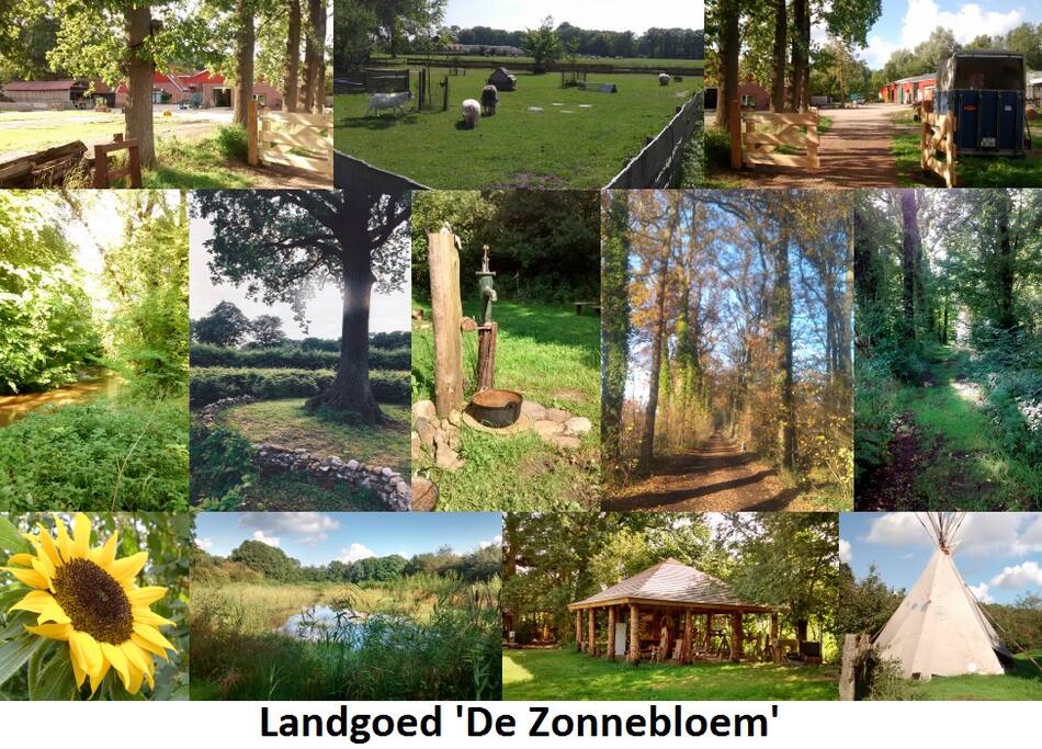 Landgoed De Zonnebloem
