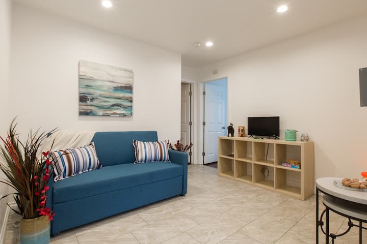 Პატარა მისაღები ოთახი. გასაშლელი დივანი Queen size და სმარტ-ტელევიზორი. 