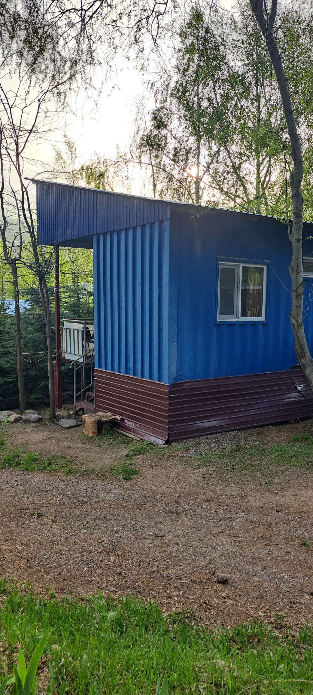 The exterior view of the blue house is shown, with a simple design combining metal siding in two shades. A single window is visible, surrounded by green trees, and a gravel path leads to the entrance, providing access to the surrounding landscape.