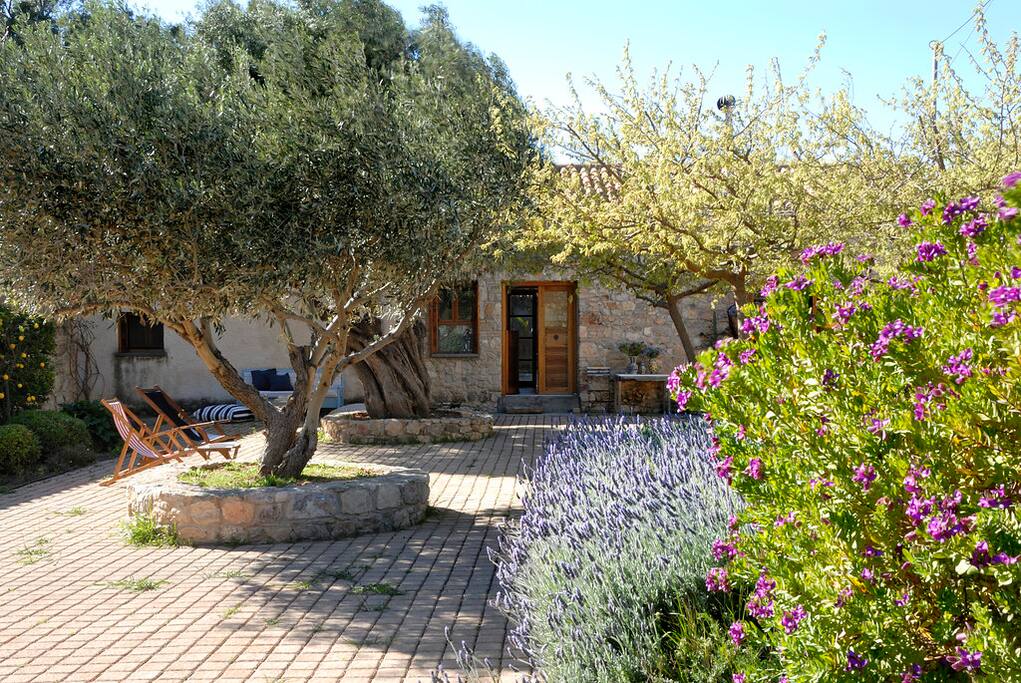 Relaxing afternoon in the Mediterranean garden