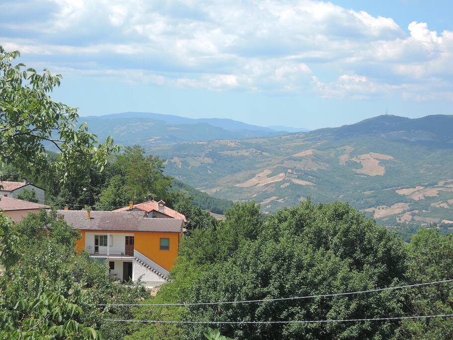 PANORAMA