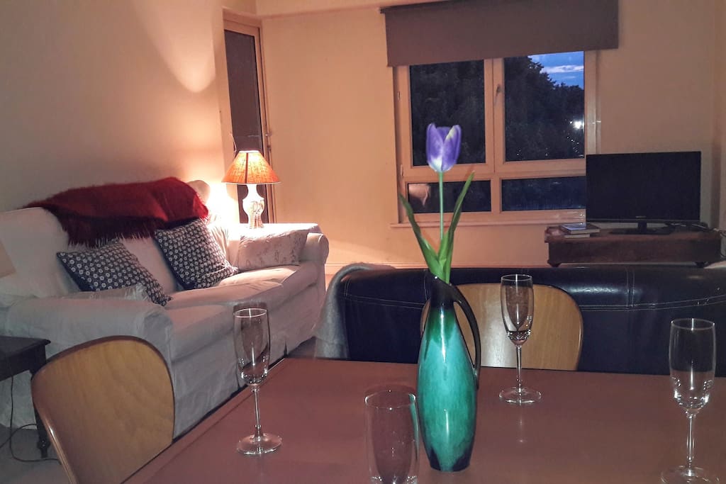 Living Room with access to balcony and park views