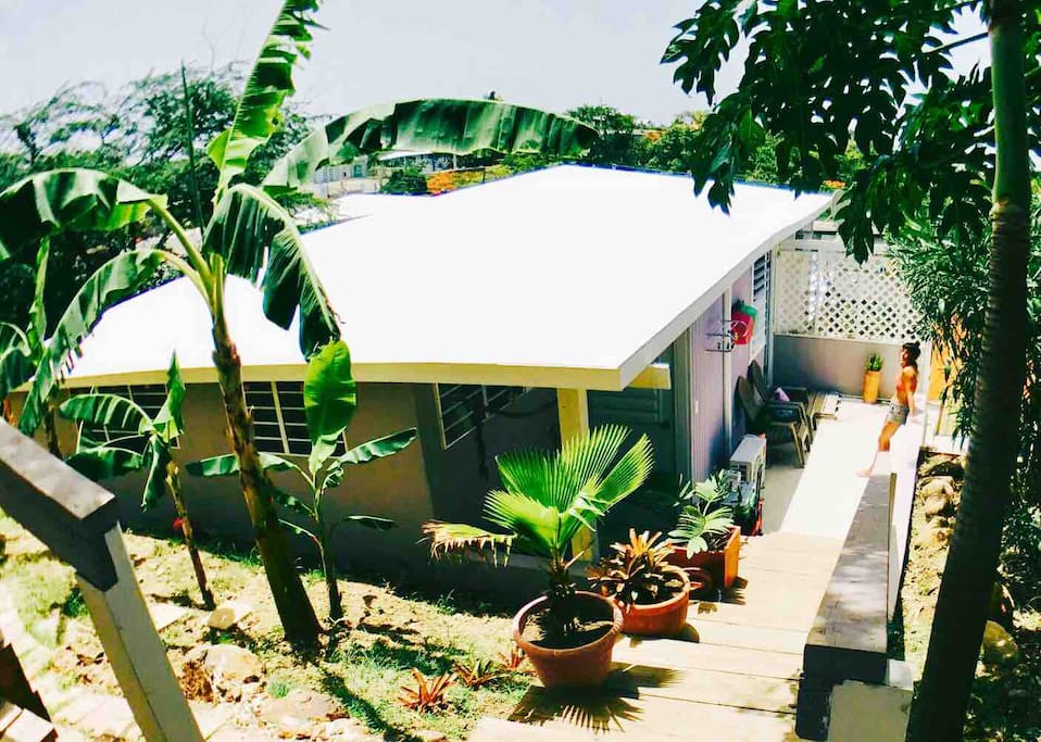 Seagrapes guesthouse