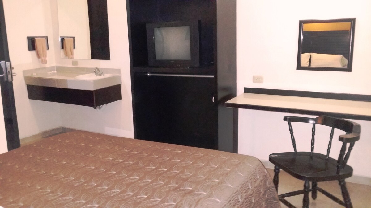 The room features a spacious bed covered with a textured brown bedspread. A wall-mounted television is positioned above a mini-fridge. A desk area is present, accompanied by a chair. The sink is integrated into a dark wood surface, and a small mirror reflects the space.