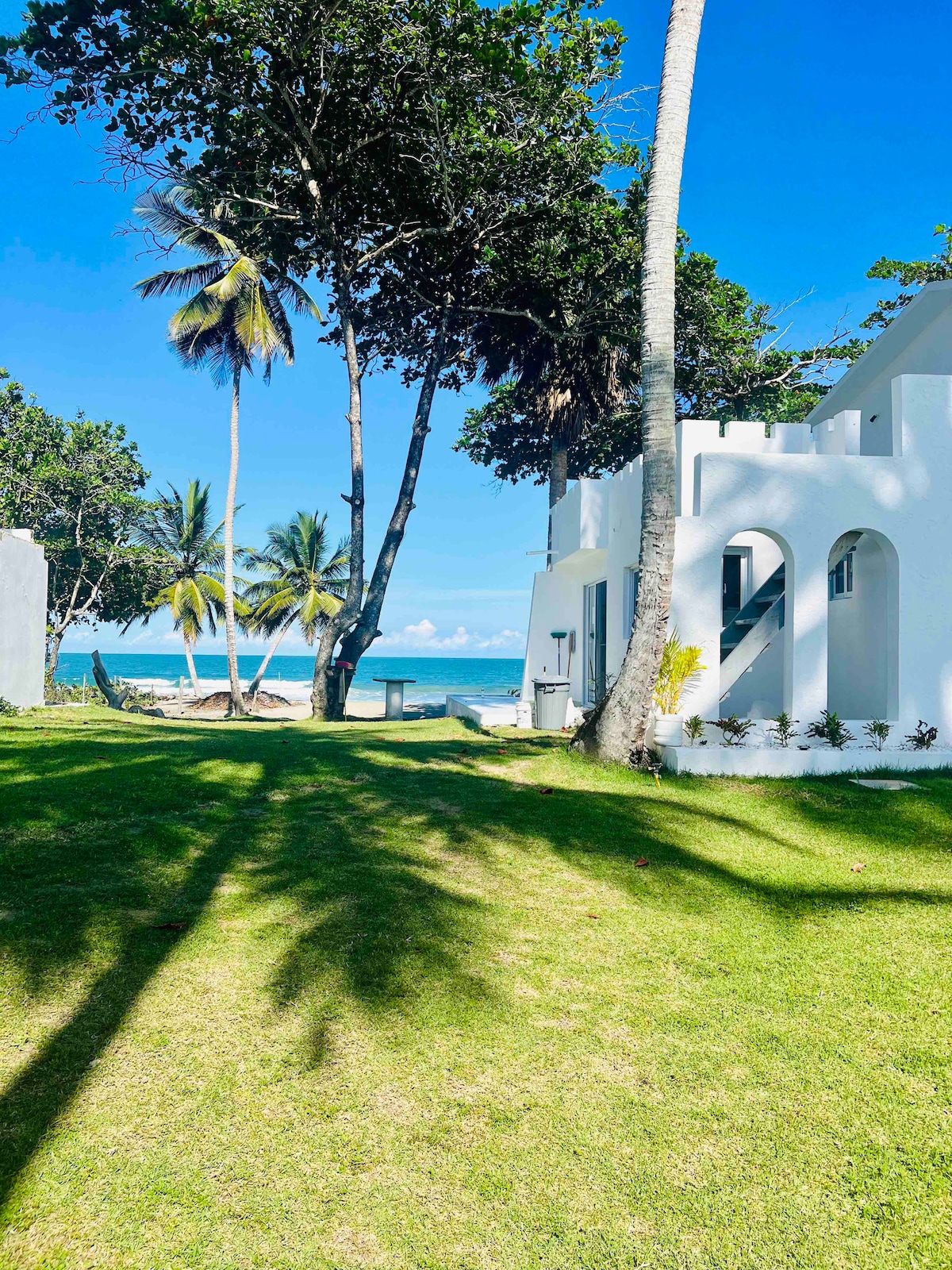 A spacious grassy area is bordered by palm trees and offers a view of the ocean in the distance. A white building with arched windows stands nearby, providing a bright contrast against the lush greenery and blue sky.