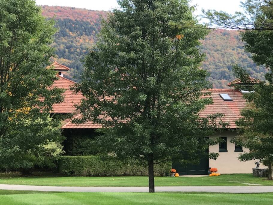 Although beautiful and unique no matter the season.