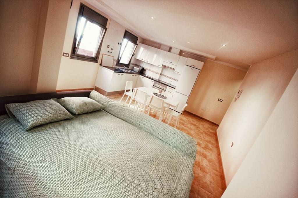 Salone ( con divano letto estraibile)