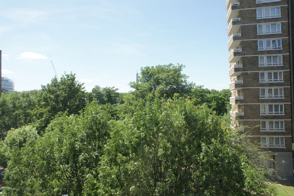 Window views