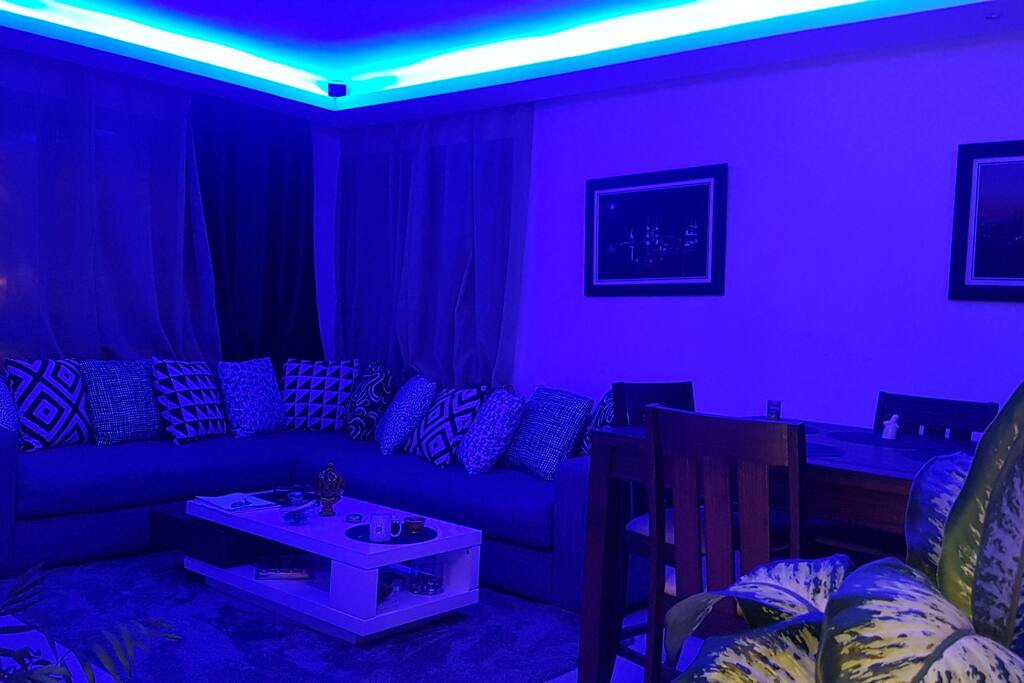 Salon (tendances 8 couleurs)