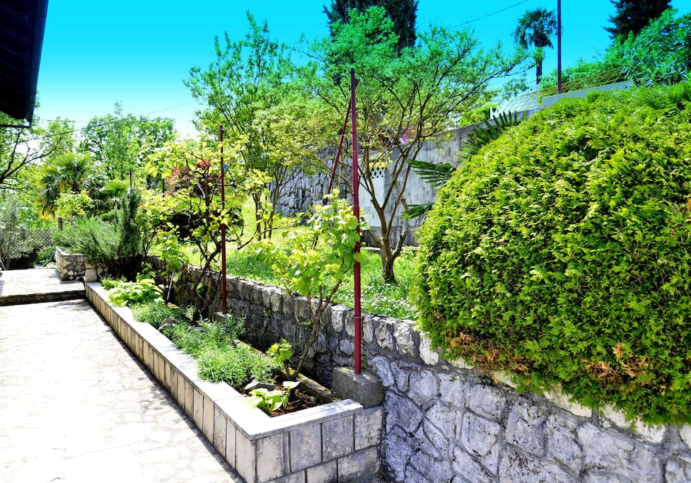 Mediterraner Garten