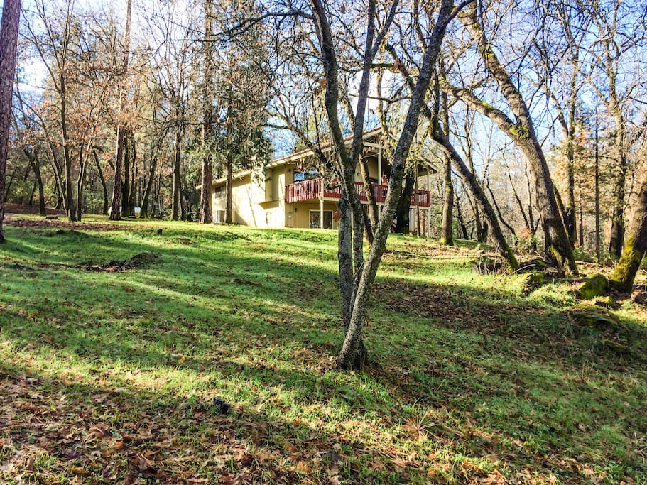 View of the house from farther back. Property is two acres.