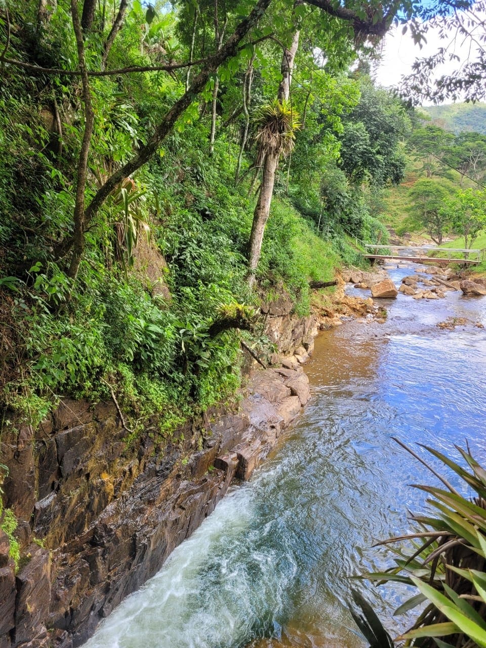A serene river is visible, flowing gently over smooth rocks, surrounded by lush green foliage. Towering trees frame the scene, while the sound of water cascading over stones can be imagined. The contrasting textures of water and rock create a peaceful natural setting.