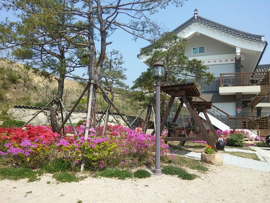 소나무 정원과 그네