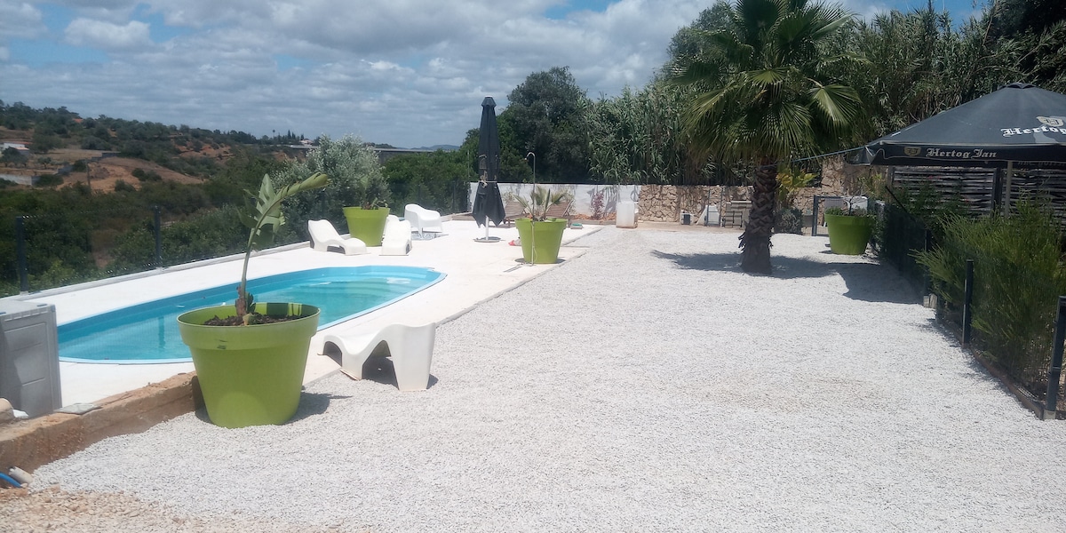 An outdoor area includes a rectangular pool surrounded by a sun terrace, featuring loungers and green planters. Palm trees and shrubs add greenery to the space, which is lined with gravel for easy access. A shaded seating area is visible in the background.