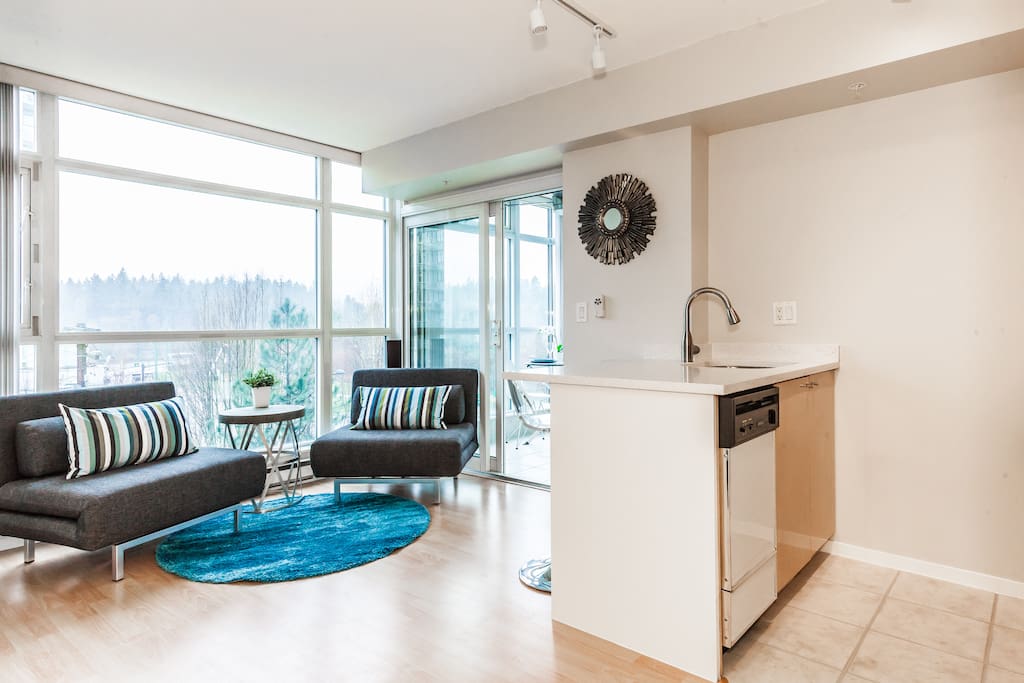 Bright Living Area and Open Kitchen