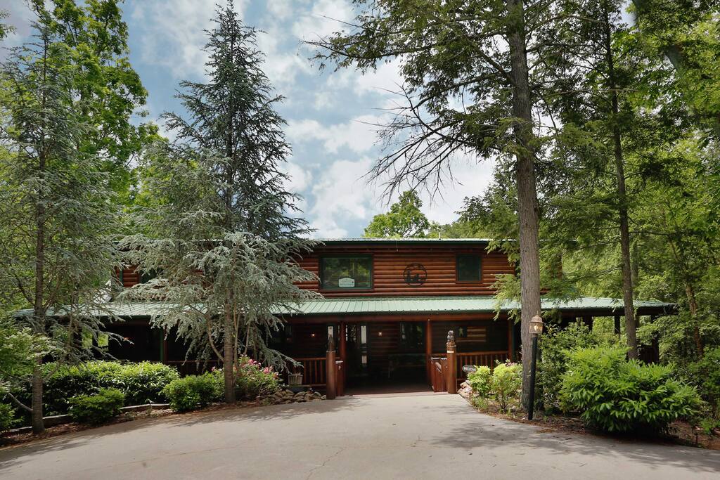 Architecture,Building,Cottage,Fir,Tree