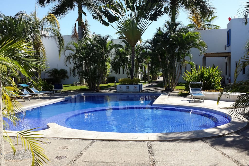 La alberca esta rodeada de preciosos jardines