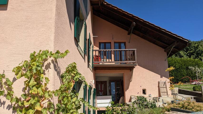 Magnifique maison vigneronne au coeur du Lavaux gallery image 2