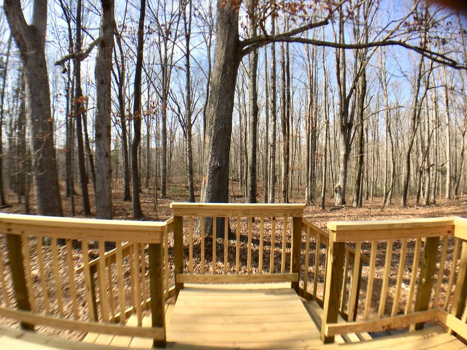 Fenced back yard.