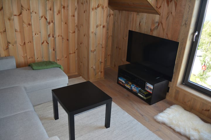 Sala de estar/ dormitorio tipo loft con vistas increíbles. Estas son las oportunidades para que los más pequeños disfruten de juegos de mesa, estaciones de juego o películas.  Sofá cama.