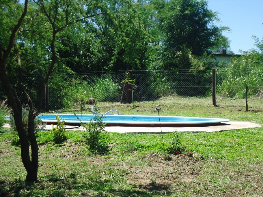 Pileta con área de césped.