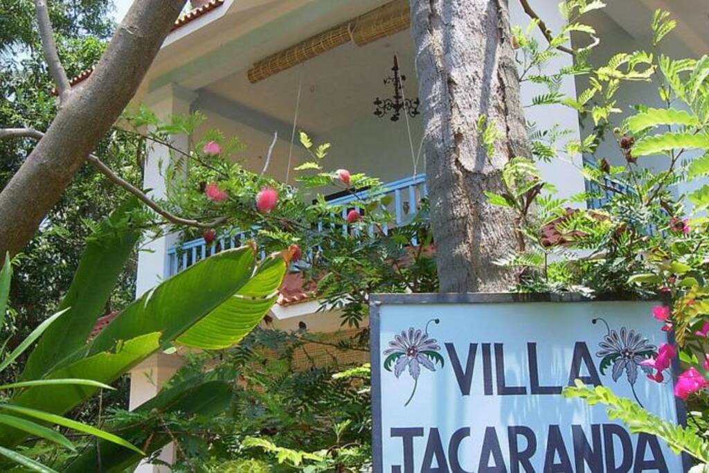 a tropical garden for the exclusive use of our guests