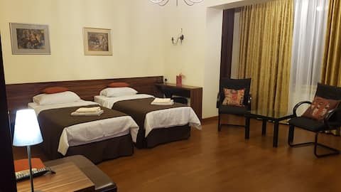 Spacious apartment in center, with 2 bedrooms