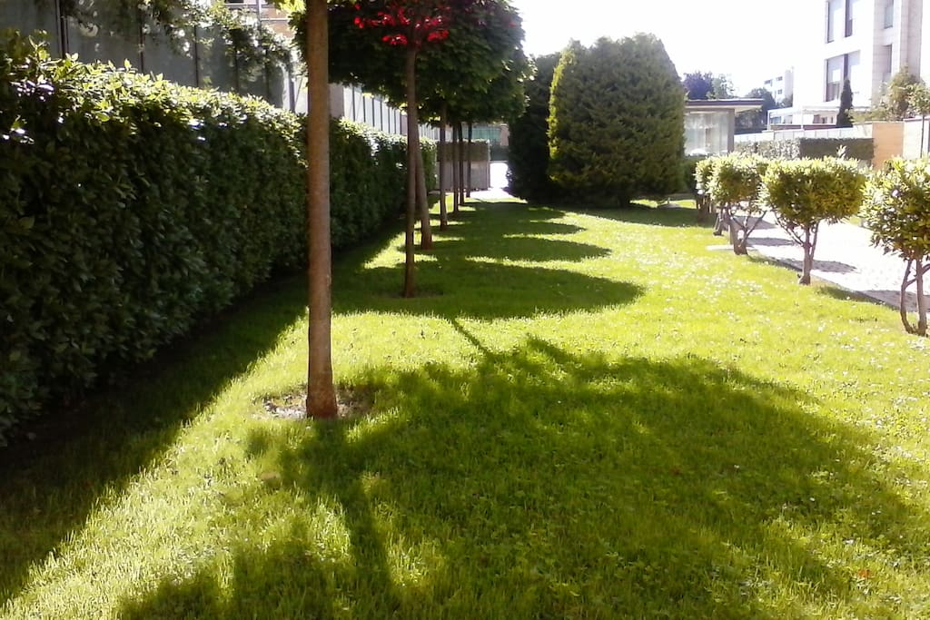 jardín-zona privada