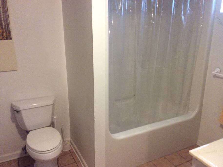 lower bathroom