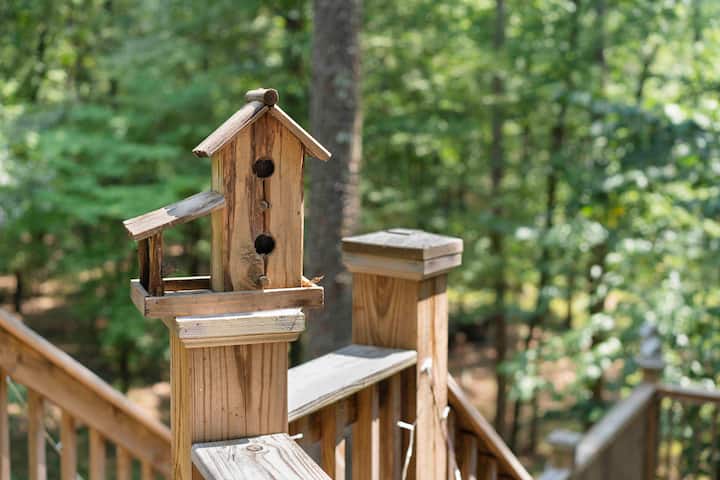 Trinity Treehouse (and birdseed) attract birds of all kinds!
Credit: Dickersonarts.com