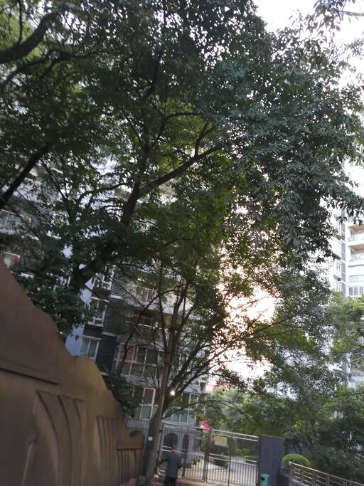 出入校区的门