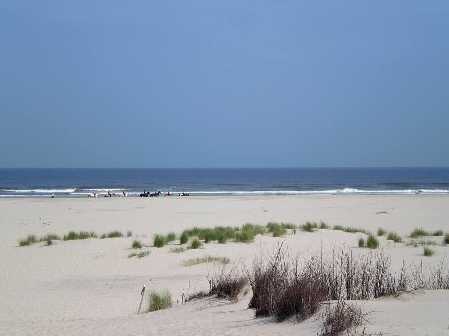 Nordseestrand