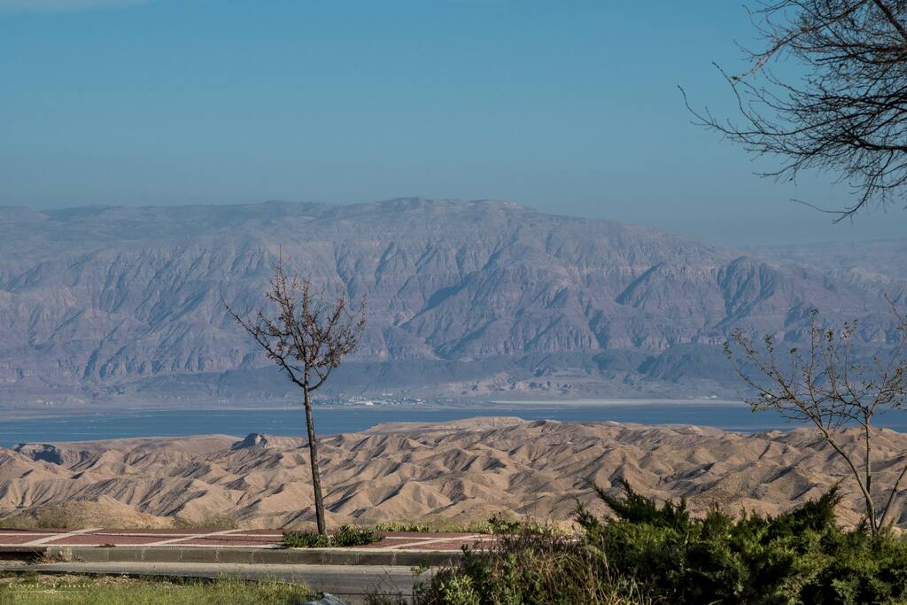 "Renanim" view
