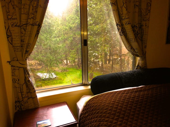 View of the forest, from your room.  Have your camera ready for deer, raccoons and squirrels passing by