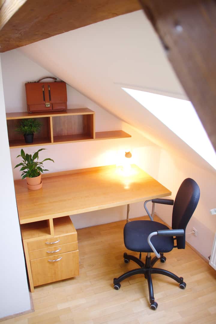 Independent Traveler's Attic In City-center - Prague