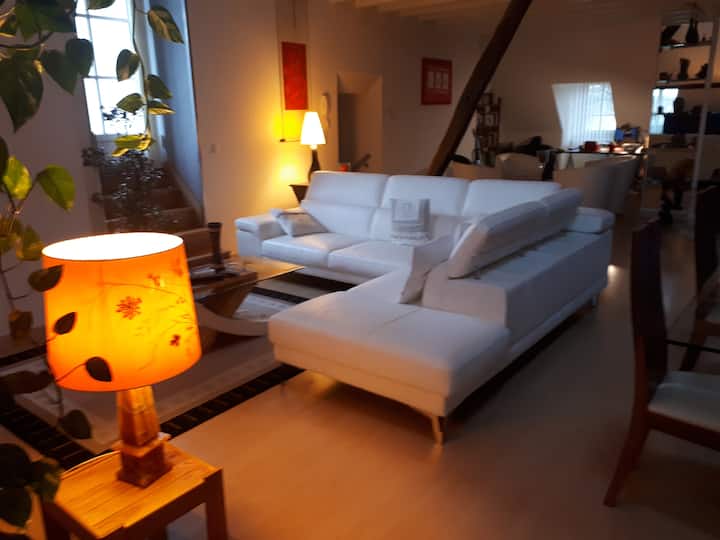 Duplex Avec Terrasse Au Cv - Dole