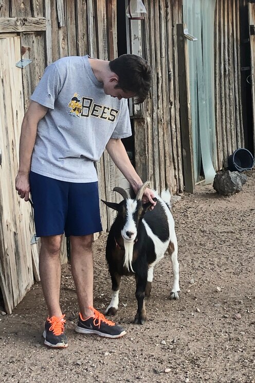 Mostrar imagem fornecida pelo anfitrião em ecrã inteiro