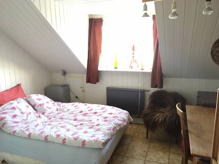 Top 10 LongTerm Rentals In Reykjavík, Iceland Updated 2024 Trip101