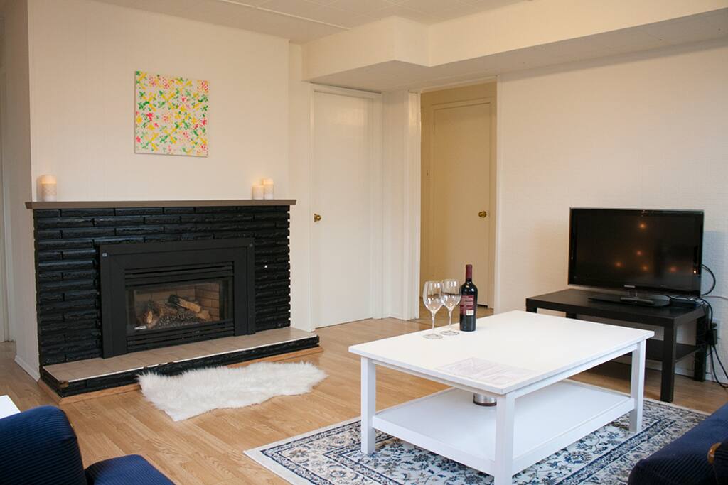 Fireplace. TV with full cable.