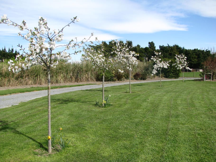 Driveway