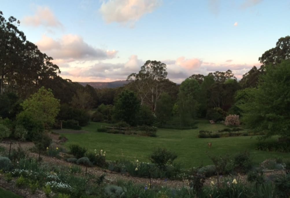 Wander the garden