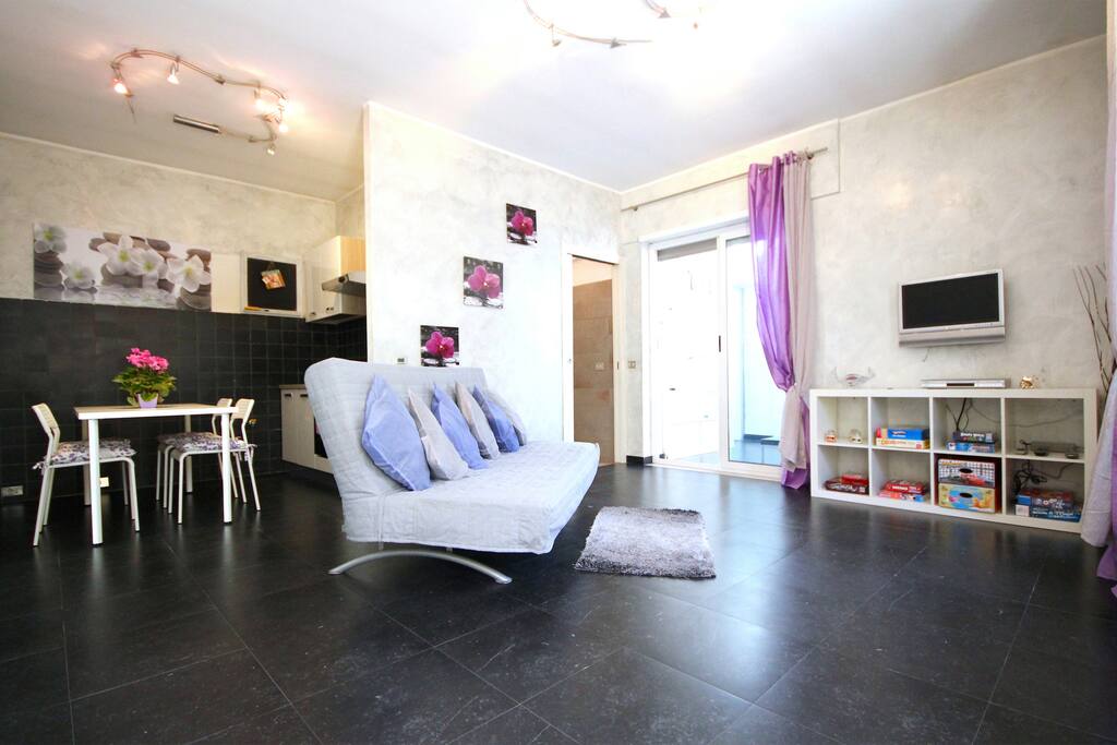 The comfortable sofa-bed in the living room
