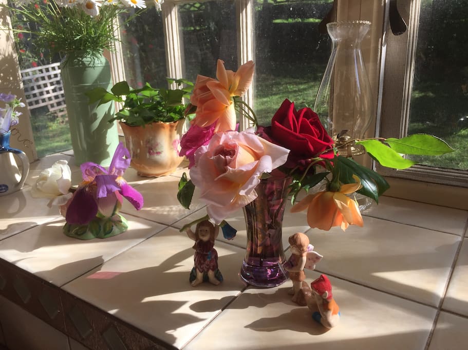 Bay window in the kitchen catches the sun.